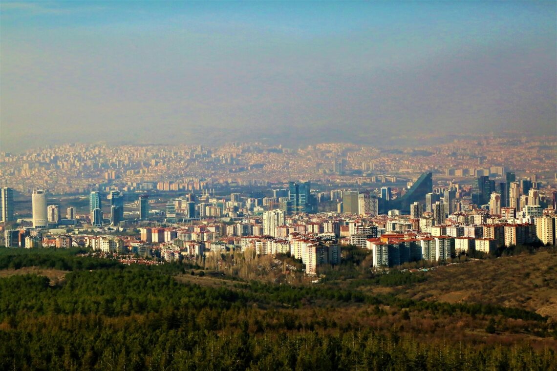 81 İlin