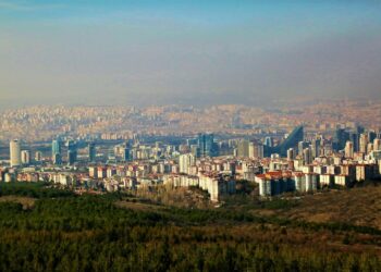 81 İlin