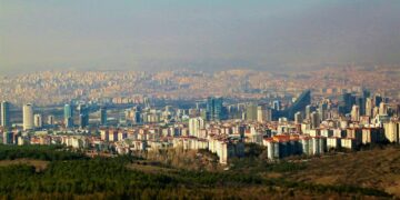 81 İlin