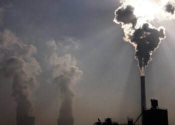 COP31