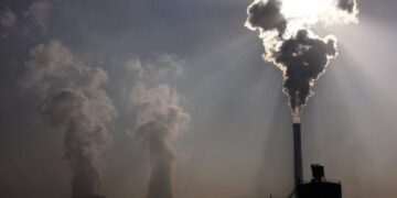 COP31