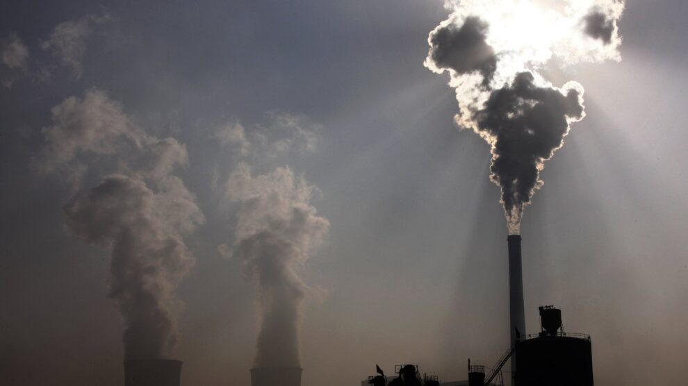 COP31