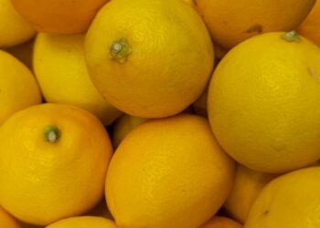 Limon