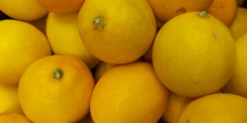 Limon