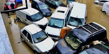 sel