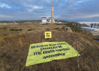 FOTO:Saygın Mavinil, Greenpeace